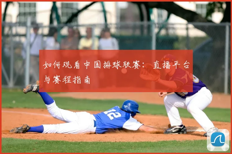 如何观看中国排球联赛：直播平台与赛程指南