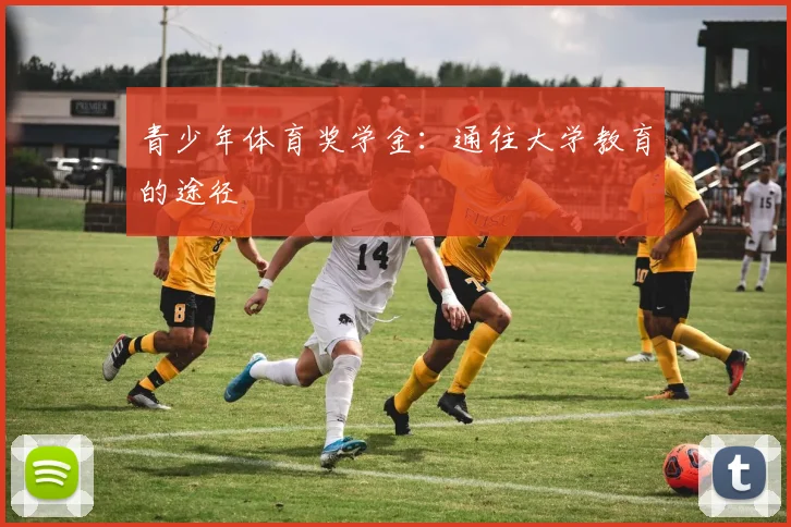青少年体育奖学金：通往大学教育的途径