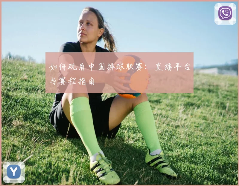 如何观看中国排球联赛：直播平台与赛程指南